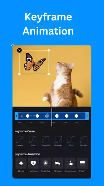 Keyframe Animation